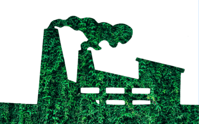 Digital Transformation: Empowering Sustainable Manufacturing